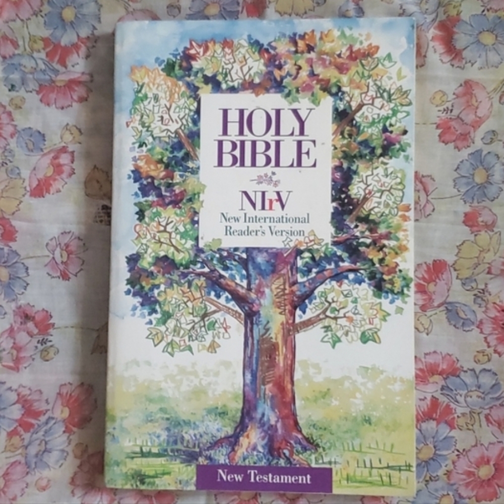 ZONDERVAN Young Readers NIV New Testament Study Bible 1995